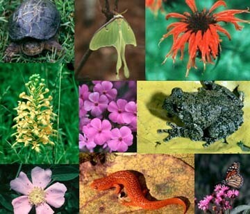 2011 National Biodiversity Report is released