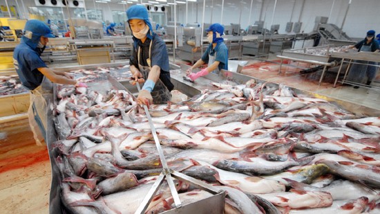 US unreasonable decision to impose anti-dumping tariffs on Vietnam’s tra fish