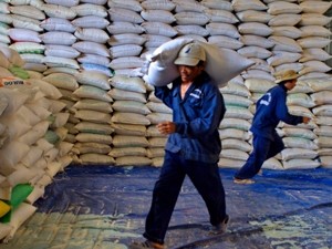 Vietnam is to export 300,000 tons of rice/ year to Guinea