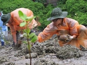 Vietnamese and Japanese students plant trees in Ha Long Bay