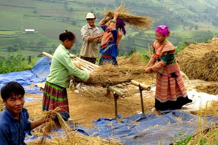 Continuous international support for Vietnam’s sustainable development