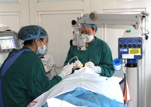 Vietnamese Physicians’ Day marked