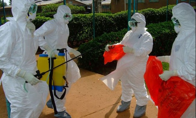 WHO drafts strategies to deal with Ebola epidemic