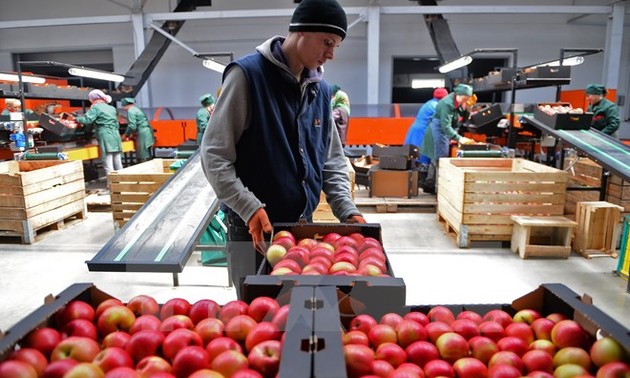 Russia extends ban on certain food imports from the EU