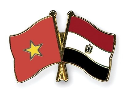 Vietnamese ambassador presents credentials to Egyptian President