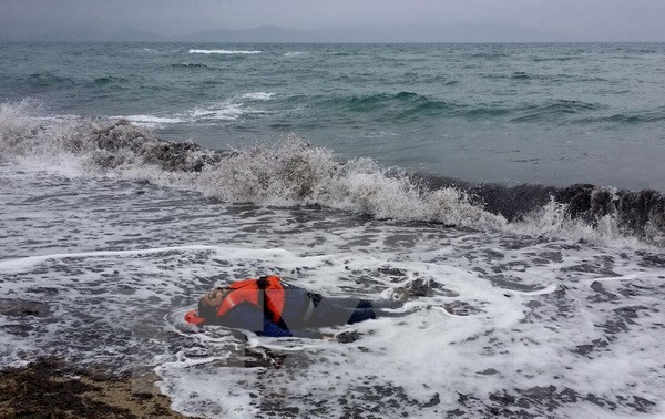 Nine migrants’ bodies found on Turkey’s western coast