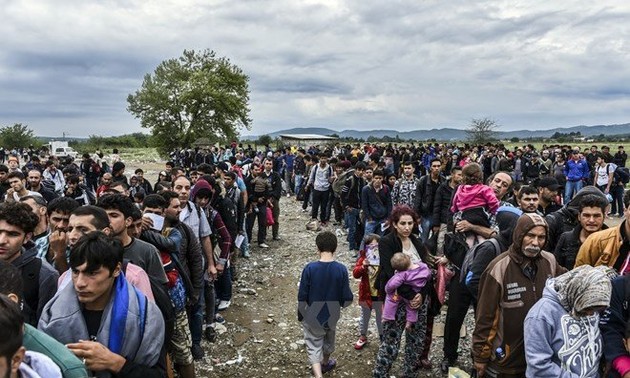 IMF urges European Union to open jobs market to refugees