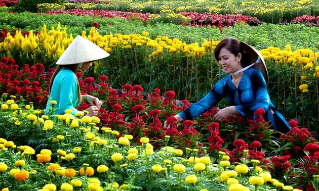 Sa Dec flower village attracts visitors at Tet