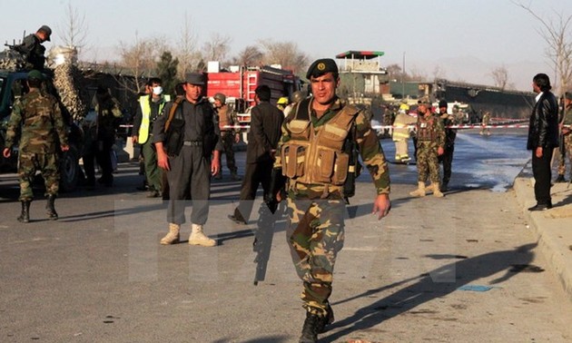 Dozens of Taliban militants killed in Afghanistan