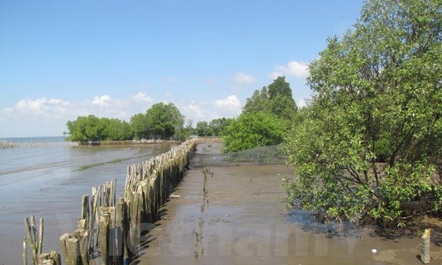 Investment in protecting water resources in Mekong Delta