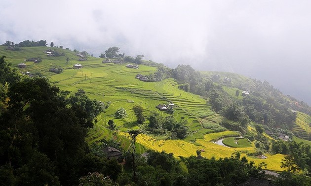 Lyrical rice terraced landscapes of Hoang Su Phi