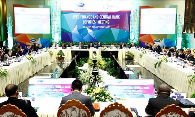 APEC Finance, Central Bank Deputies discuss cooperation priorities