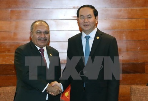 President Tran Dai Quang meets APEC leaders  