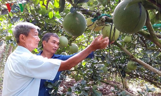 Tran Cong Len helps farmers escape poverty