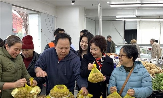 Vietnamese longan sold out on debut day in Australia