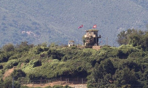 UN Command investigates gunfire in border of two Koreas