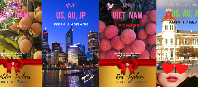 More Vietnamese lychee shipped to Australia