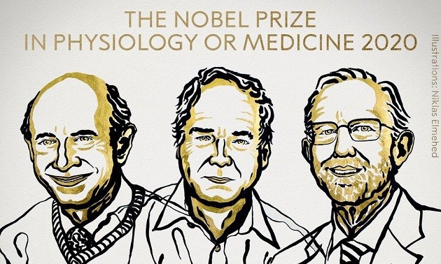 Nobel Prize in Medicine awarded for discovery of Hepatitis C virus