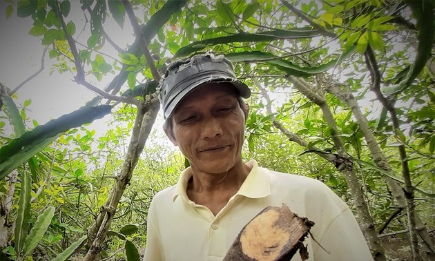 Ca Mau farmer makes items from avicennia trees