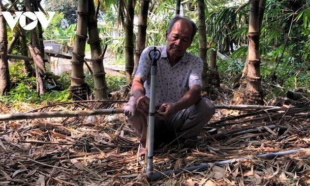 Ca Mau farmer successfully grows bamboo shoots in saline water area