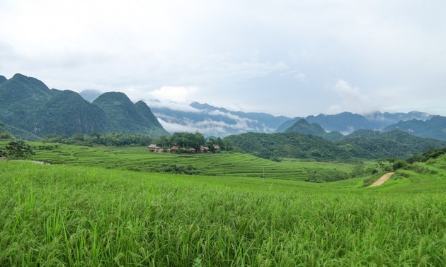 Pu Luong, a fantastic retreat for nature lovers