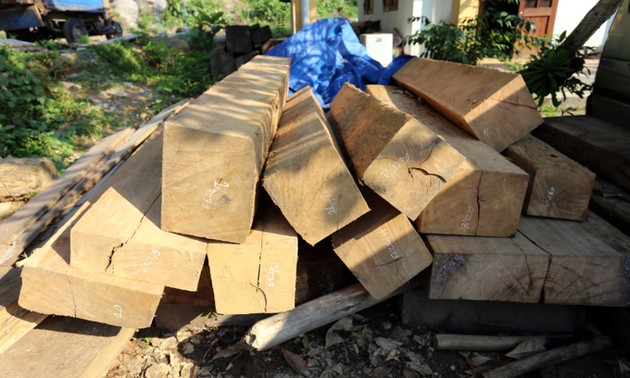 US ends Vietnam timber probe, no tariff