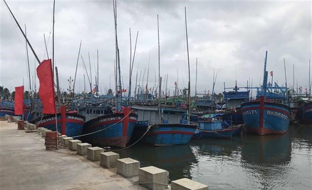 Vietnam to have 184 fishing ports by 2050