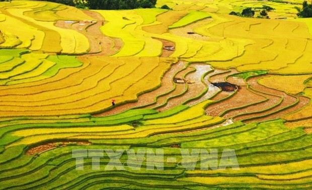 Vietnam nominated in 10 categories at World Travel Awards 2022 