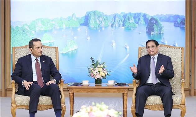 Vietnam, Qatar foster bilateral relations 