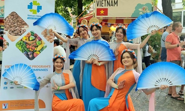 Vietnamese culture introduced at Embassy Festival in Netherlands