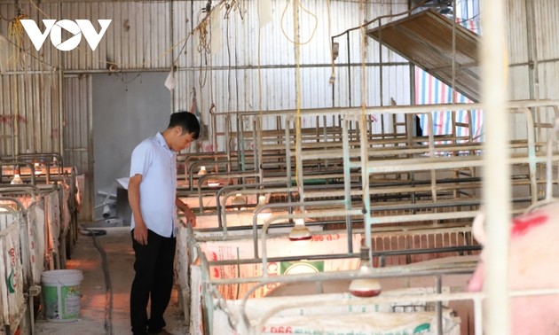 Mixed crop-livestock economic model earns Son La farmer a fortune 