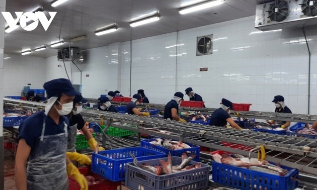 Vietnam maintains overall economic recovery momentum in 2022 