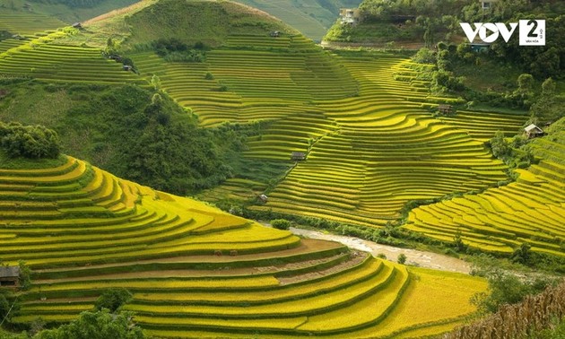Vietnam among Top 21 life-changing trips for travelers