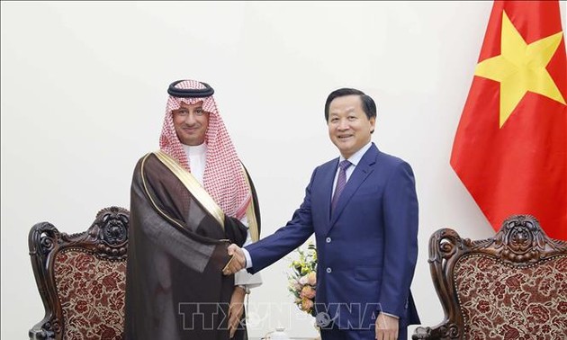 Vietnam treasures friendship, multifaceted ties with Saudi Arabia: Deputy PM