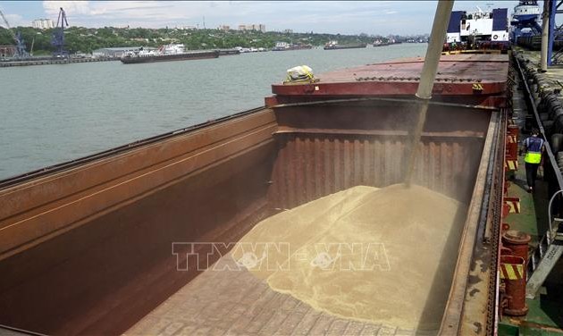 Russia provides 200,000 tons of grain to six African countries 