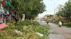 Tập trung khắc phục hậu quả bão Wutip (bão số 10)