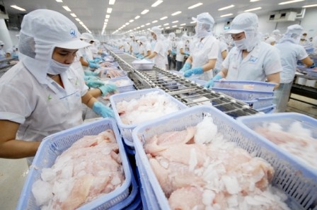 Một năm xuất khẩu thành công của thuỷ sản Việt Nam