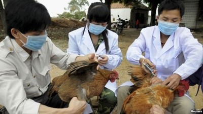 Việt Nam sẵn sàng ứng phó dịch bệnh do cúm A(H7N9) 