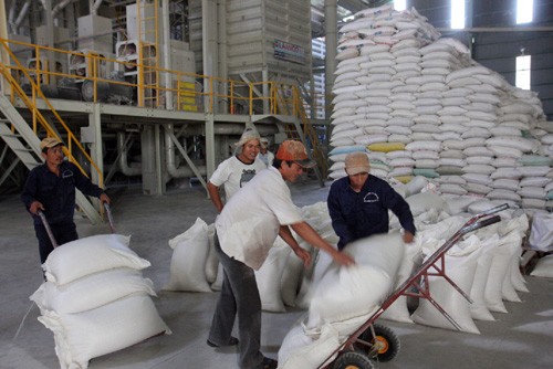 Việt Nam thắng thầu cung cấp 800.000 tấn gạo cho Philippines 