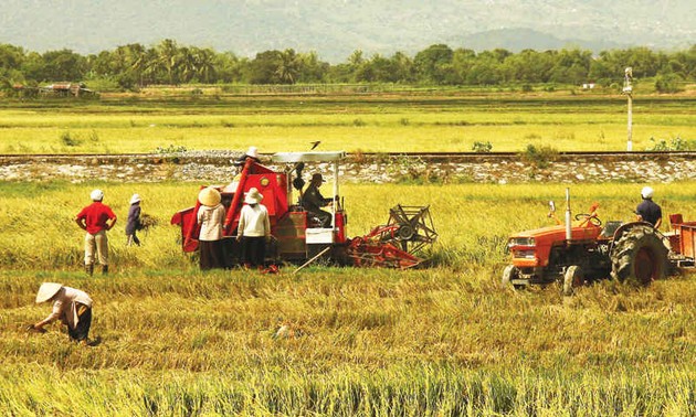 Mecanización agrícola contribuye a mejorar la producción de arroz en la llanura del Río Mekong