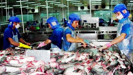 Cargas tributarias de Estados Unidos contra los pescados de Vietnam