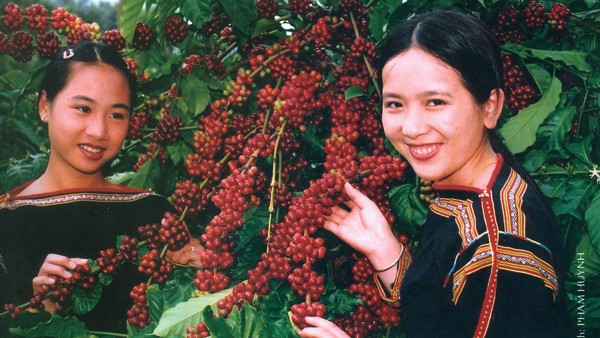 El matriarcado de minoría étnica Ê-đê – una diversidad cultural de Vietnam