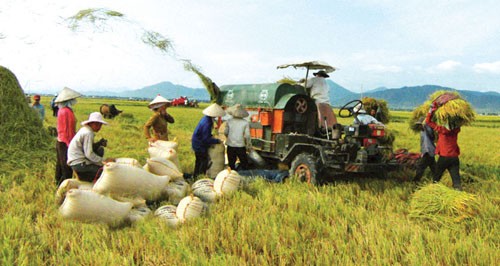 Vietnam logra modernizar su agricultura nacional