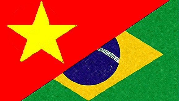 Alcanza los 2 mil millones de dólares intercambio comercial Vietnam-Brasil en 2013