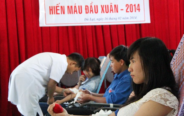 Inician Año juvenil voluntario 2014 en provincia sureña Lam Dong