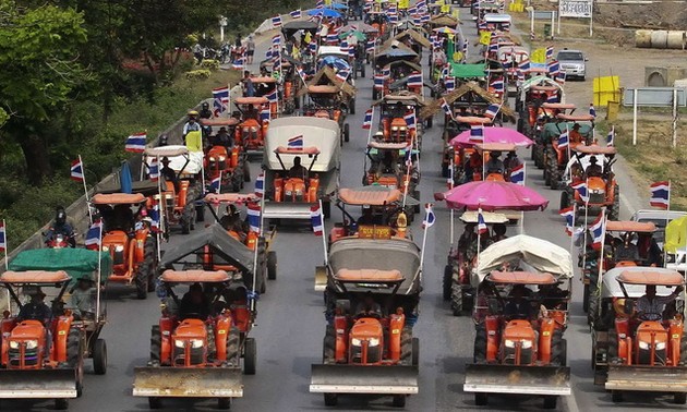 Arroceros protestan en Tailandia por retraso de subsidios 