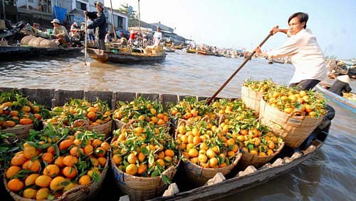 Esfuerzos de eliminación de pobreza en Delta del Río Mekong