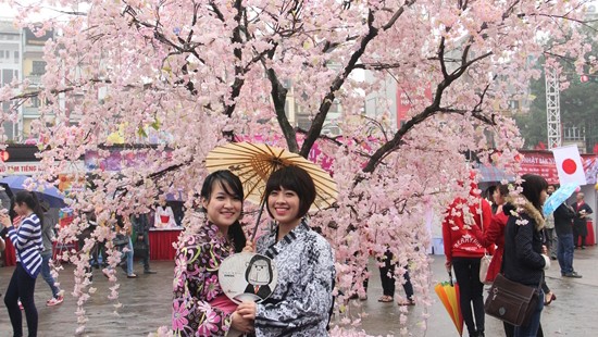 Festival japonés de Flores de Cerezo 2014 atrae público vietnamita