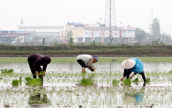 Vietnam aboga por mitigar los efectos del cambio climático