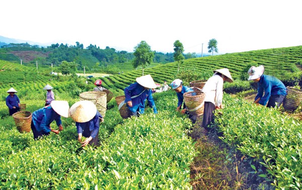 Vietnam aboga por reducción sostenible de pobreza